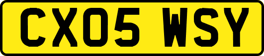 CX05WSY