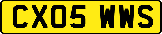 CX05WWS