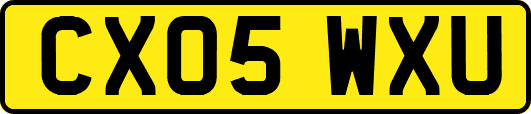 CX05WXU