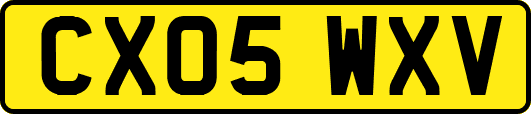 CX05WXV