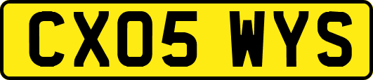 CX05WYS