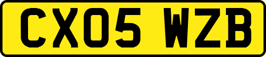 CX05WZB
