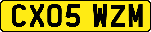 CX05WZM