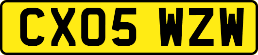 CX05WZW