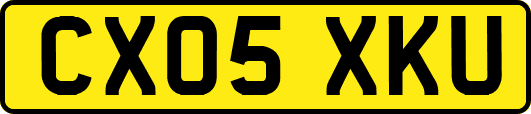 CX05XKU
