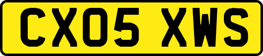 CX05XWS