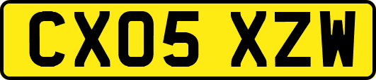 CX05XZW