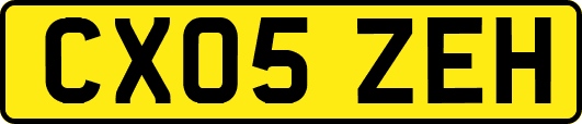 CX05ZEH