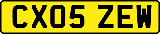 CX05ZEW