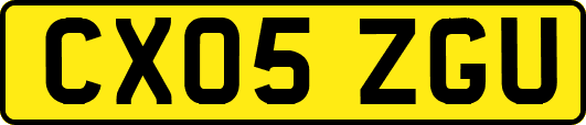 CX05ZGU