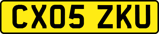 CX05ZKU