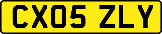 CX05ZLY