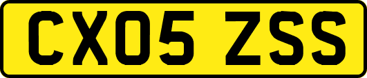 CX05ZSS