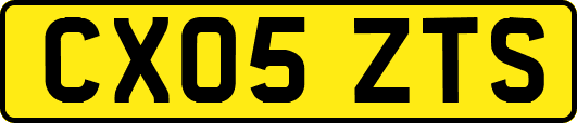 CX05ZTS