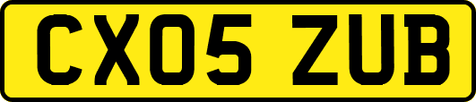 CX05ZUB