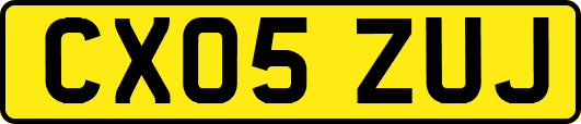 CX05ZUJ