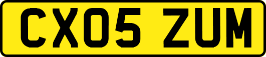 CX05ZUM