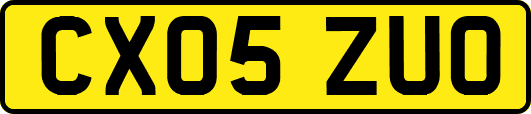 CX05ZUO