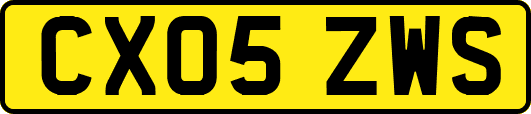 CX05ZWS