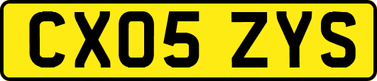 CX05ZYS