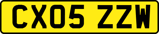CX05ZZW