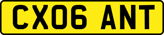 CX06ANT