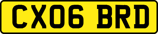 CX06BRD