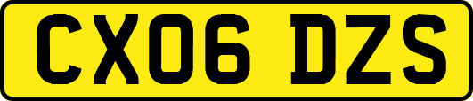 CX06DZS