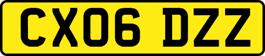 CX06DZZ