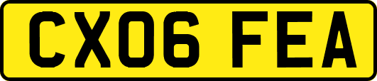 CX06FEA