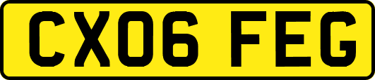 CX06FEG