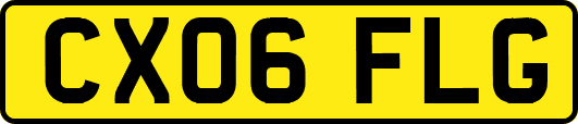 CX06FLG