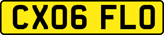 CX06FLO