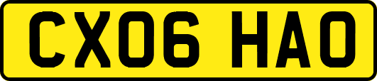 CX06HAO