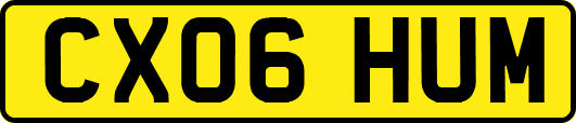CX06HUM