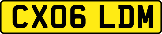 CX06LDM