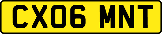 CX06MNT