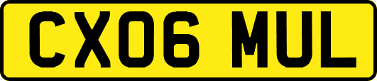 CX06MUL