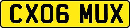 CX06MUX