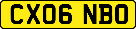 CX06NBO