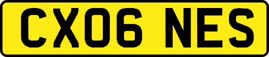 CX06NES