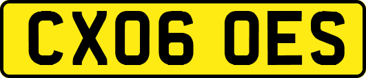 CX06OES