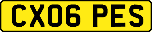 CX06PES