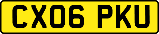 CX06PKU