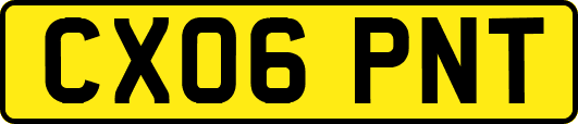 CX06PNT
