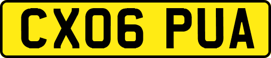 CX06PUA