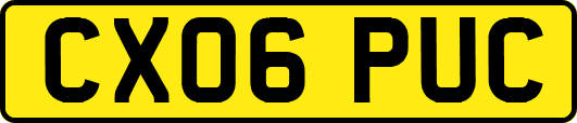 CX06PUC