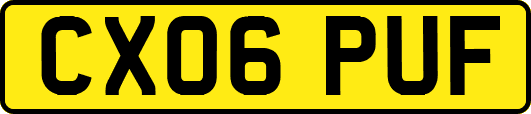 CX06PUF
