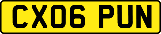 CX06PUN