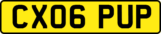 CX06PUP